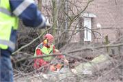 3.NLdoet160313 048